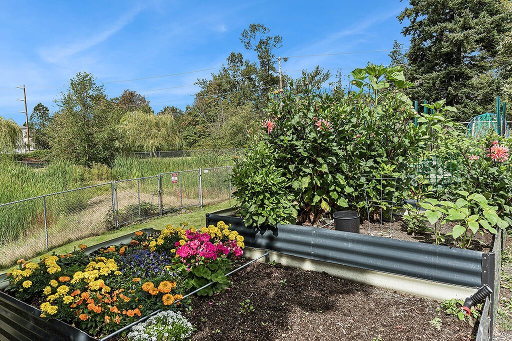 A garden with a bench and flowers.